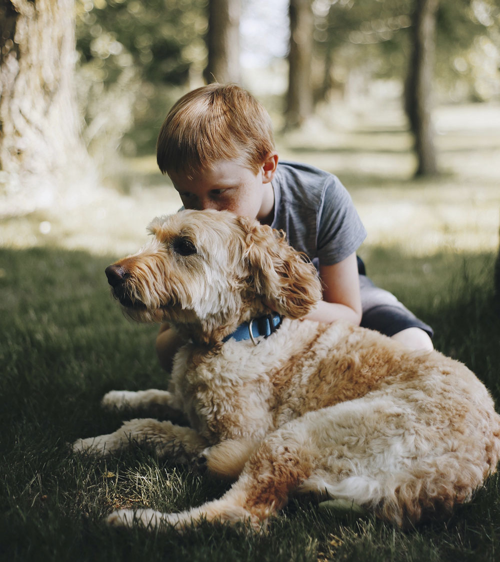 Hunde kan stor forskel i terapeutisk behandling